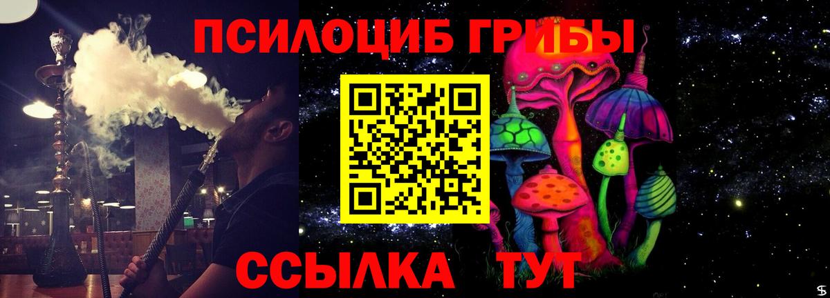 Галлюциногенные грибы Psilocybe  купить  цена  Вход с VPN  Ликино-Дулёво  Галлюциногенные грибы мухоморы 